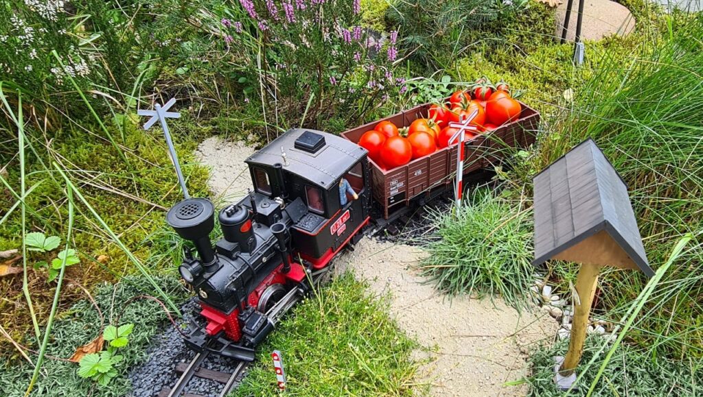 RZD-raj-