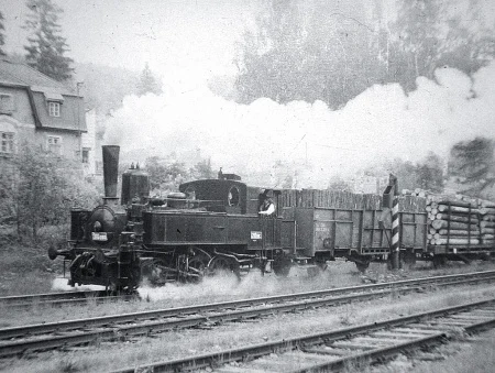 ZST-NEJDEK-310